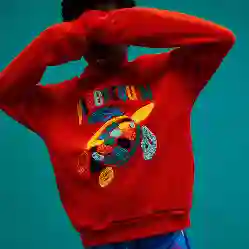 Изображение Erkek Çocuk Gary  Sweatshirt